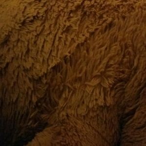 Meet your Posher, Patricia