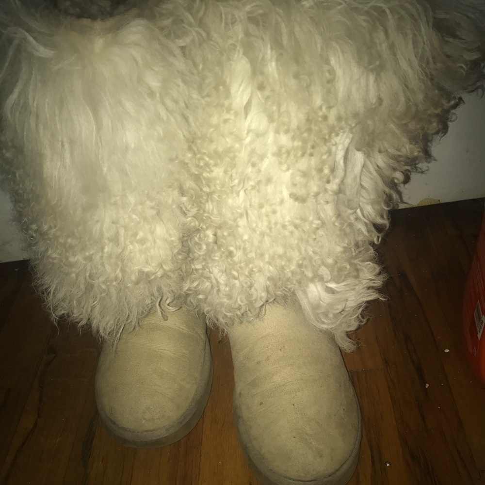 Tall Mongolian Uggs