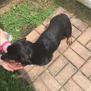 Meet your Posher, Alli