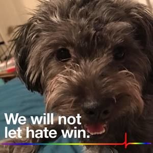 Meet your Posher, Chrystle