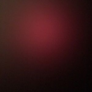 Meet your Posher, Penelope