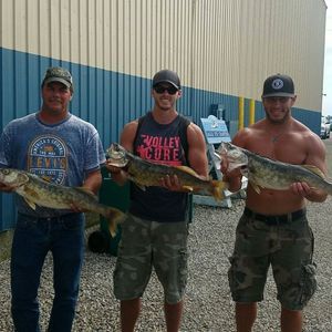 Meet your Posher, Nathan