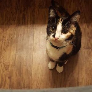 Meet your Posher, Keana