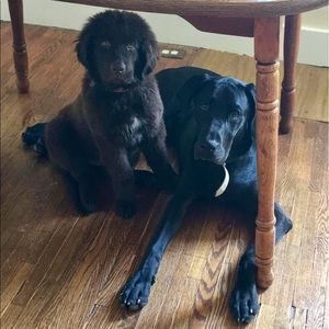 Meet your Posher, Kathleen