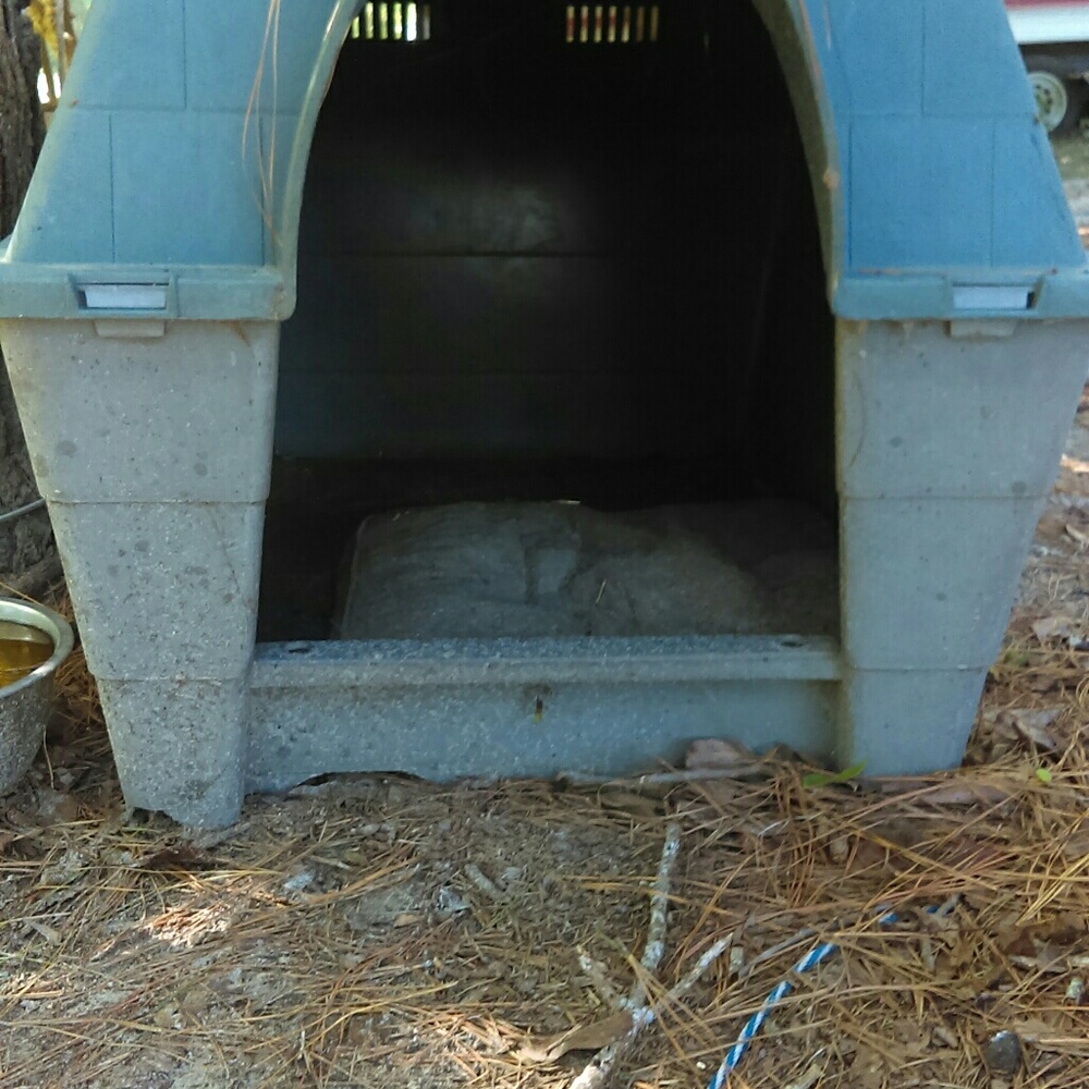 Dog house