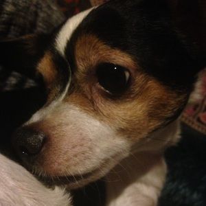 Meet your Posher, Cherise