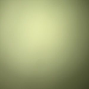 Meet your Posher, Lewis