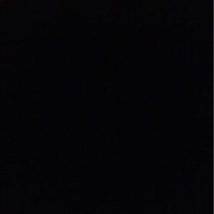 Meet your Posher, Nevaeh