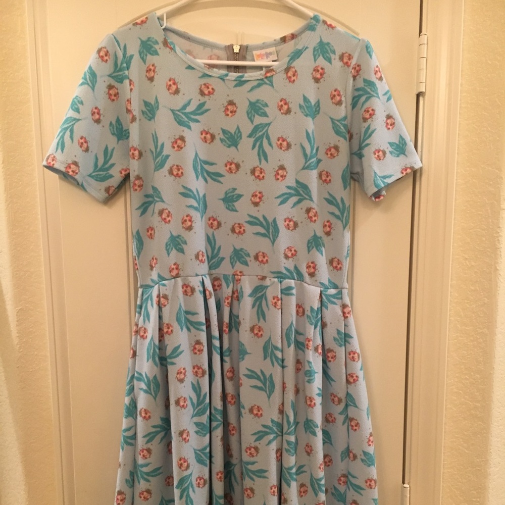 LuLaRoe Amelia with Ladybugs!