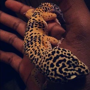 Meet your Posher, Jamesley