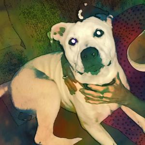 Meet your Posher, Kisha