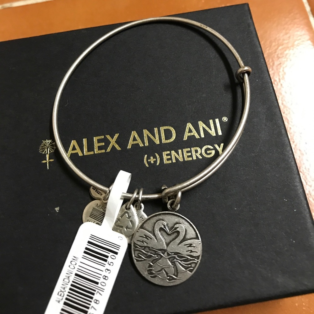 Alex and Ani Perfect Pair bangle NWT