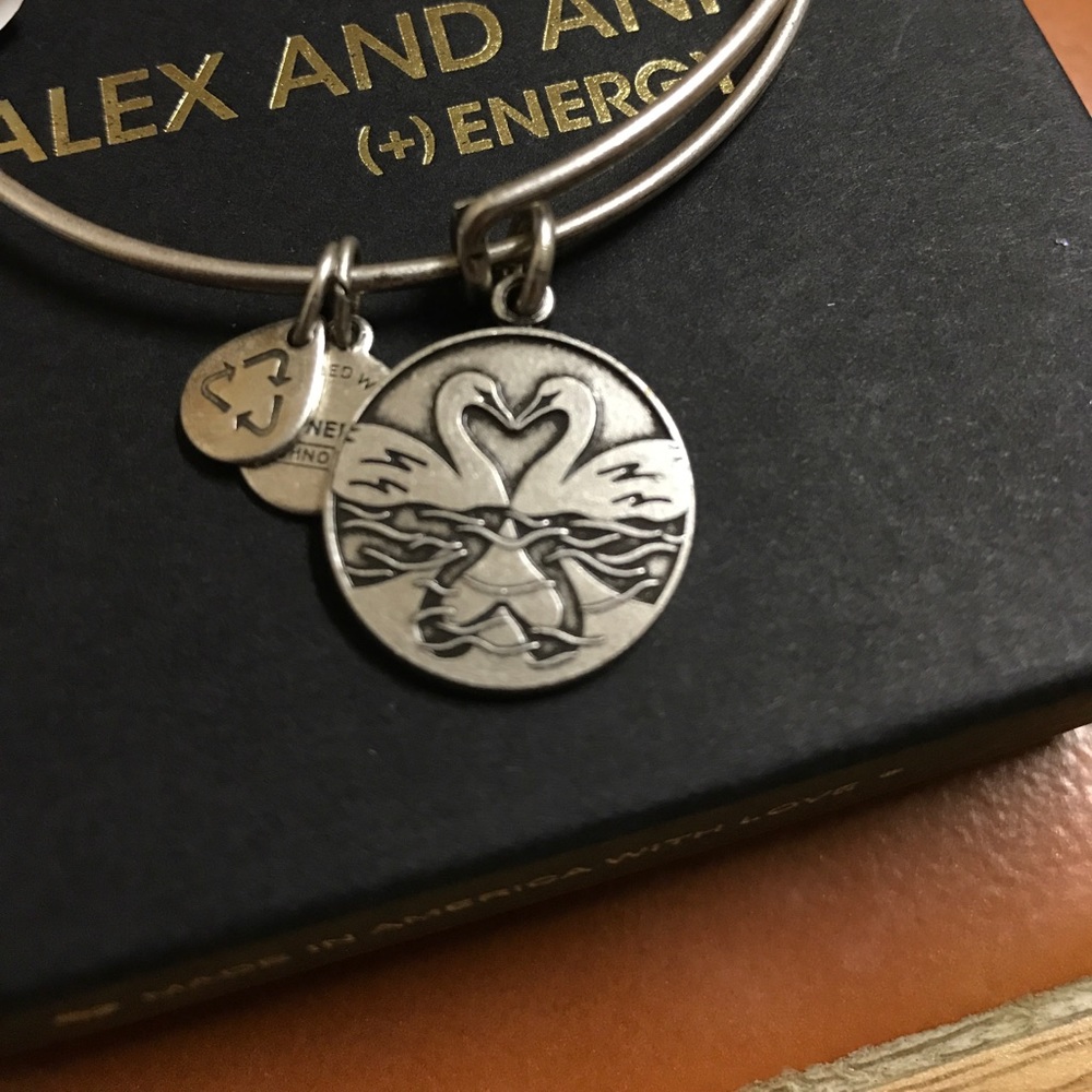 Alex and Ani Perfect Pair bangle NWT - Picture 2 of 3