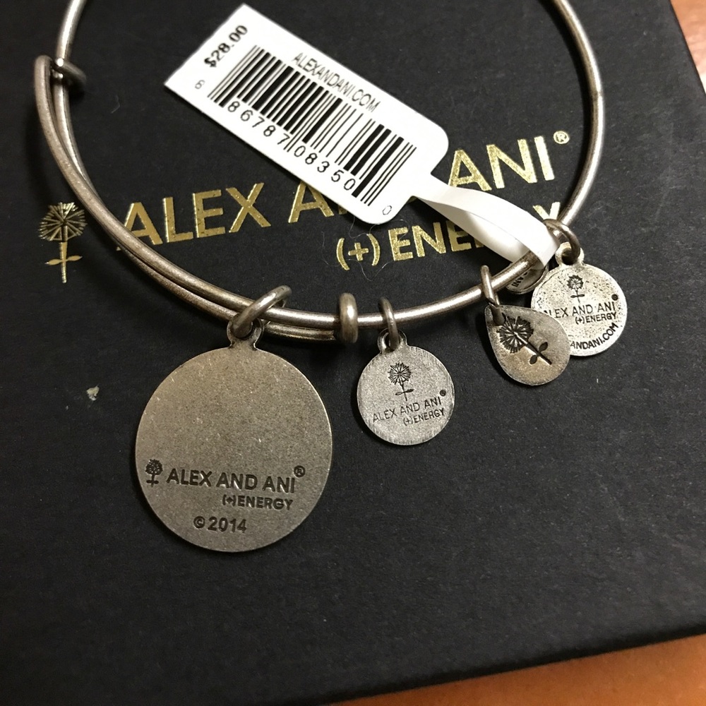 Alex and Ani Perfect Pair bangle NWT - Picture 3 of 3