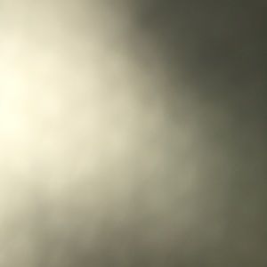 Meet your Posher, Joselyn