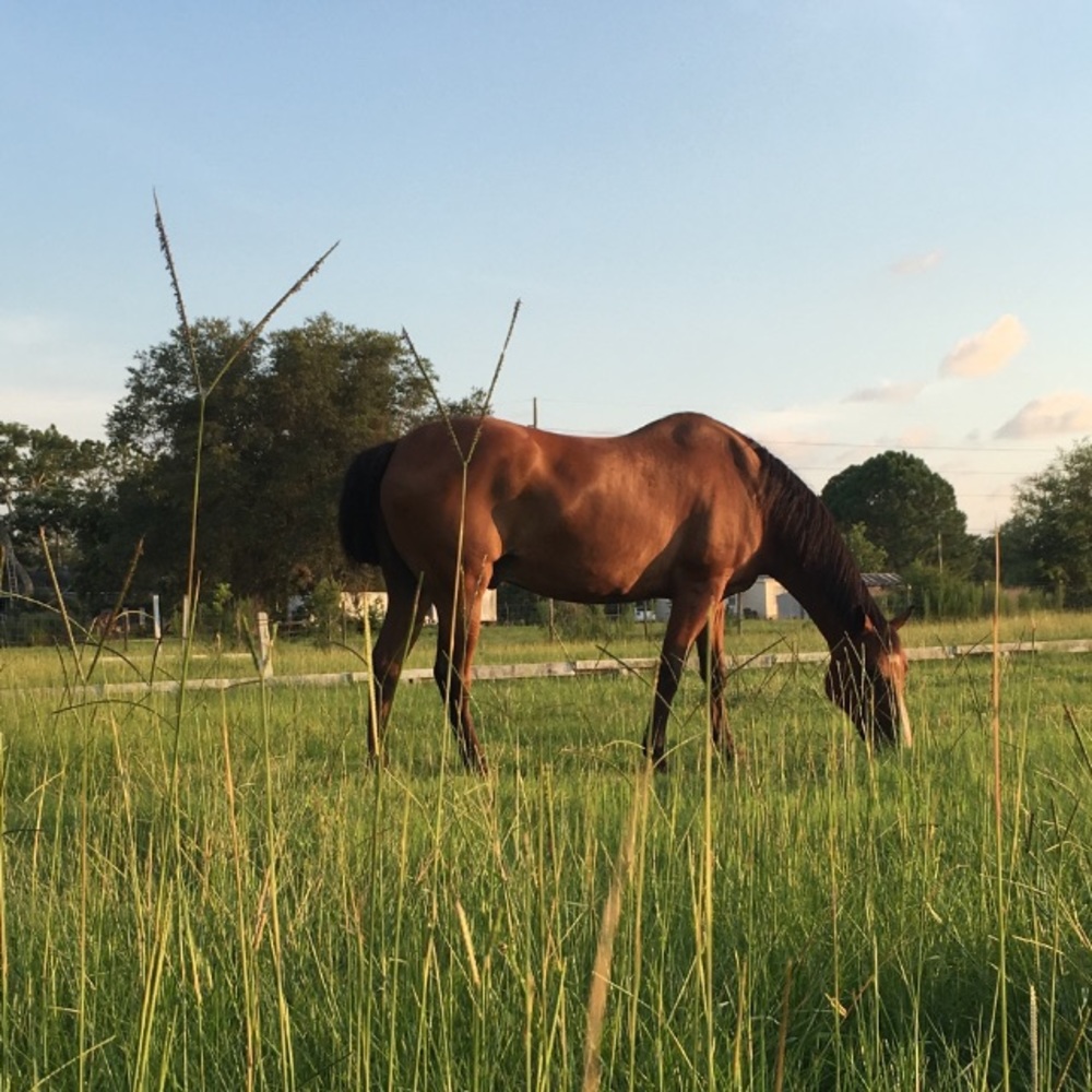 Meet your Posher, Cortney