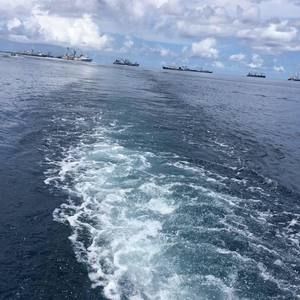 Meet your Posher, May