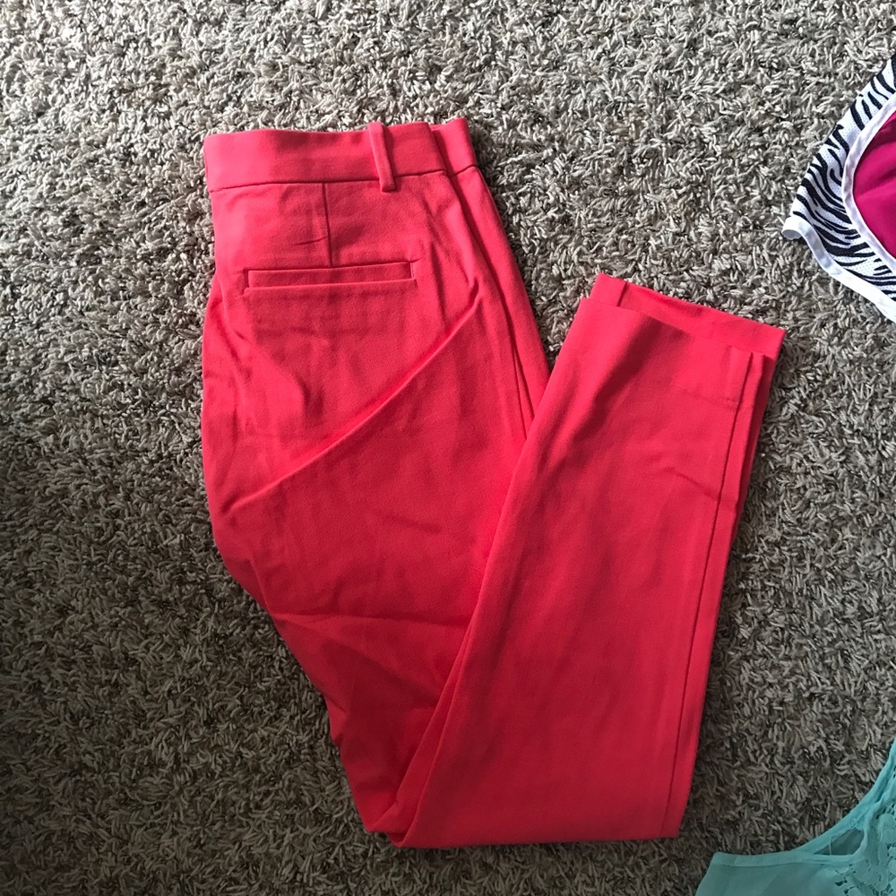 Dress pants