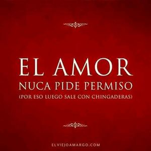 Meet your Posher, Genoveva