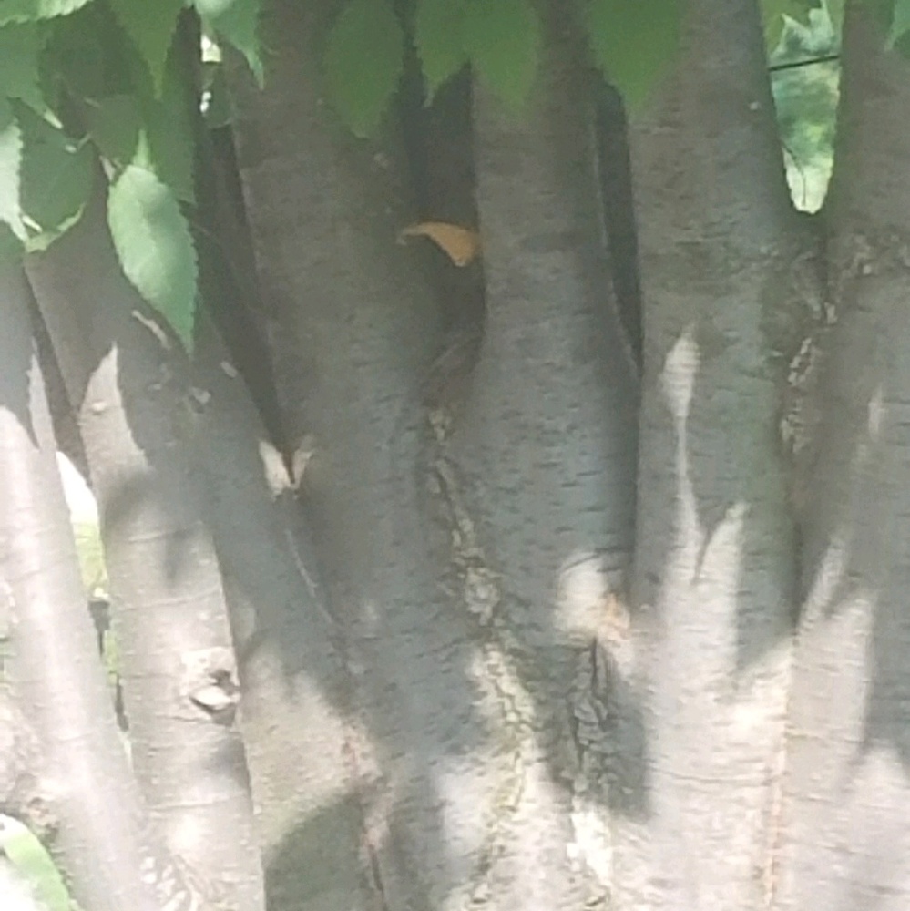 Meet your Posher, Sue