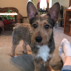 Meet your Posher, Ellie