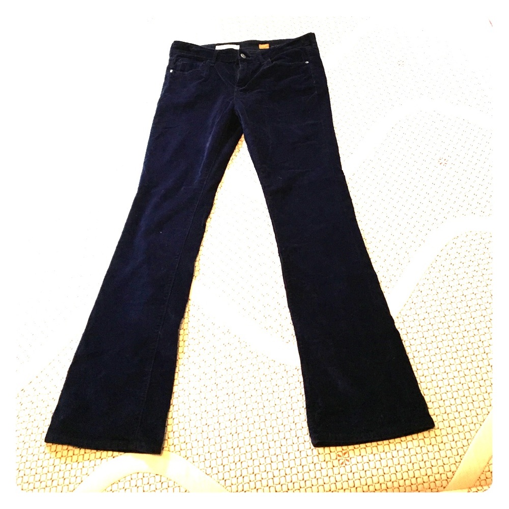 Anthropologie Pilcro Navy Blue Pants Cords