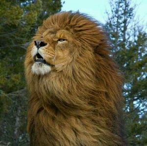 Meet your Posher, Tabitha