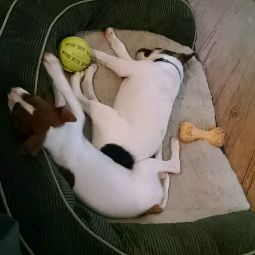 Meet your Posher, Kelley