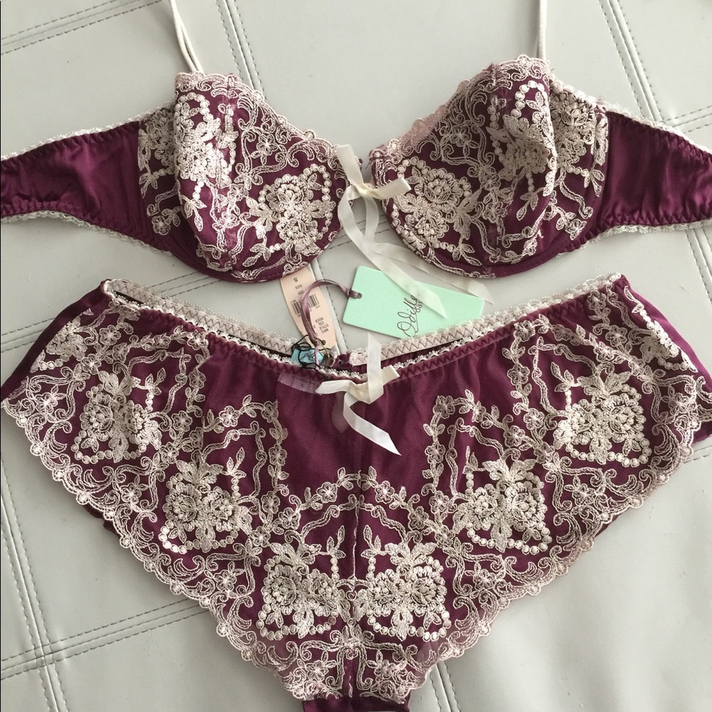 Elegant burgundy mesh and lace bra and panty set.