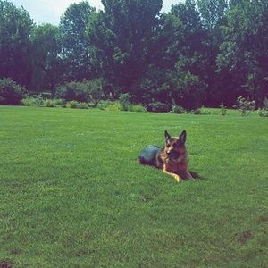 Meet your Posher, Evan