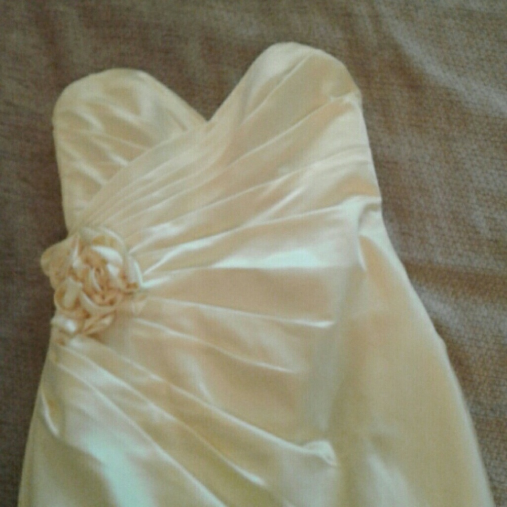 Party Dress or Halloween Costume Just add wings