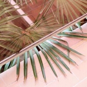 Meet your Posher, Kateri