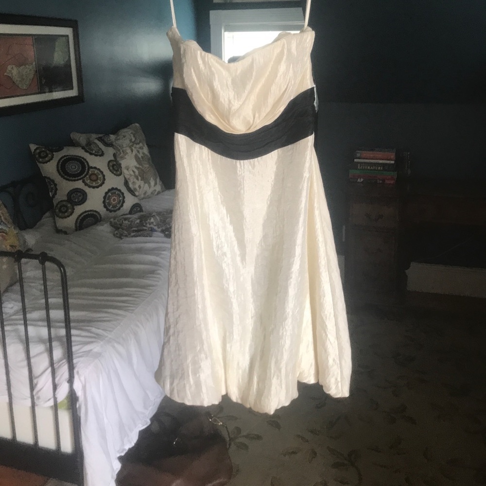 White House Black Market cocktail dress.