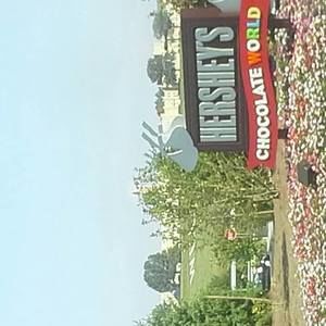 Meet your Posher, Robert