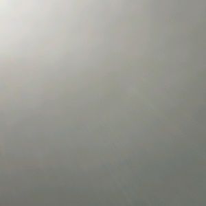 Meet your Posher, Gavin