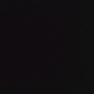 Meet your Posher, Santana