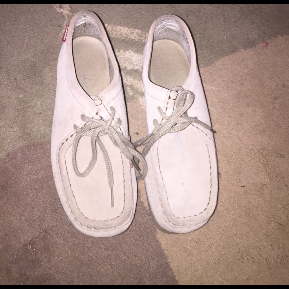 Clark wallabies