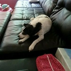 Meet your Posher, Traci