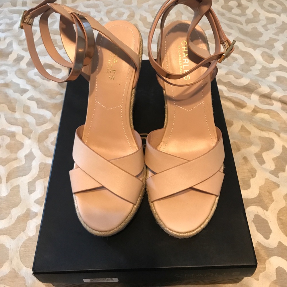 Size 9.5 Charles David wedges