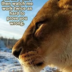 Meet your Posher, Bobby