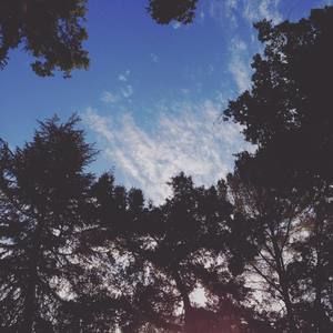 Meet your Posher, Luke