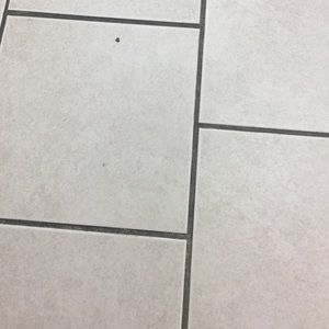 Meet your Posher, Yaw