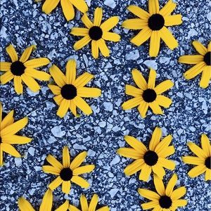 Meet your Posher, Emerson