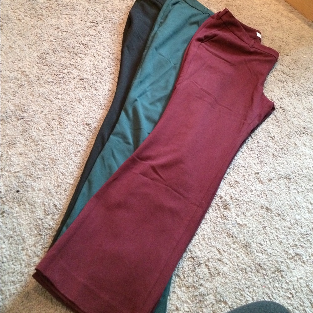 THREE Straight Leg Petite Professional Pants
