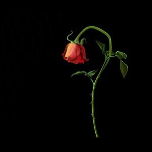 Meet your Posher, Alytha