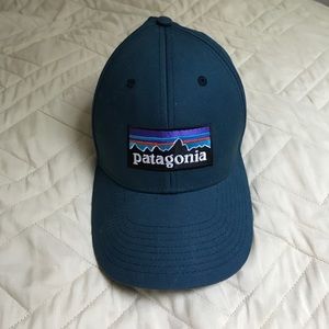 Patagonia Dad Hat