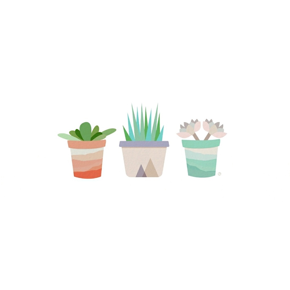 Meet your Posher, Ash