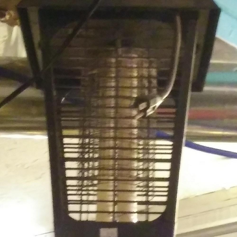 Bug Zapper