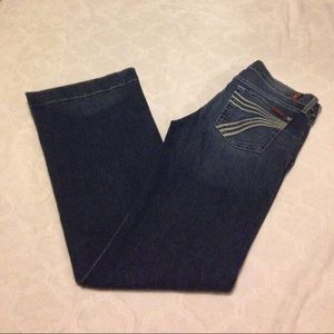 7 FOR ALL MANKIND DOJO 29X34