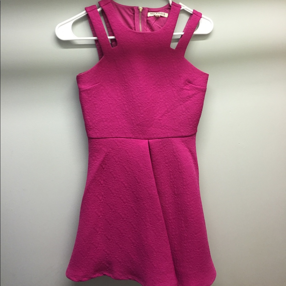 Magenta/Pink Skater Dress